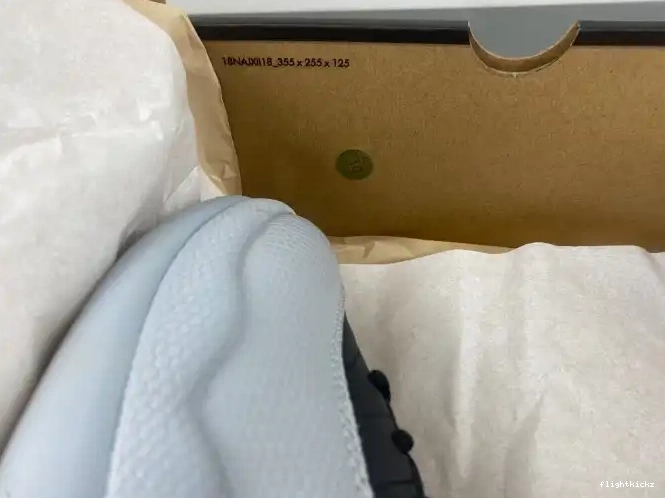 Air Barons 12 CT8013-010 Jordan 0514